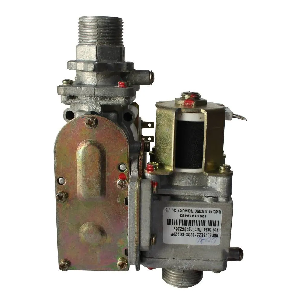 Газовый клапан (электронная регулировка) BL22-02DC-DC220V FERROLI